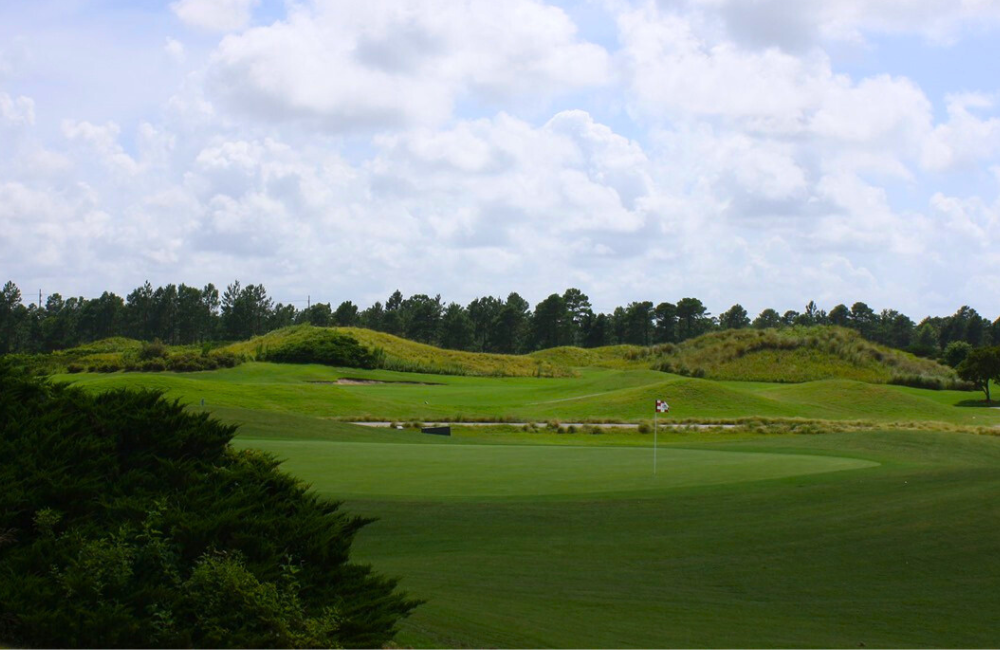 Guest Reward: https://gardencityrealty.icnd-cdn.com/images/guestrewards/Wizard Golf Club.png